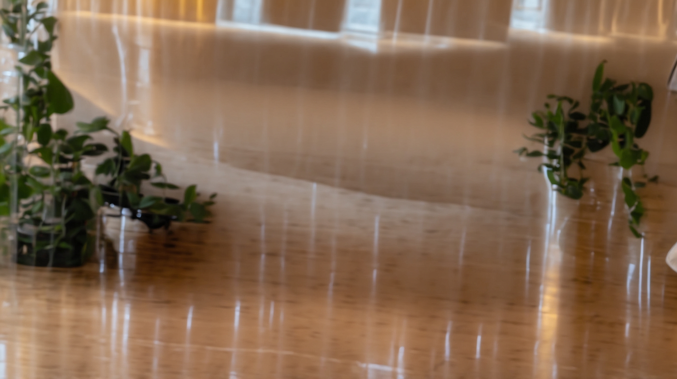 Canada Coffee Prices Could Rise Again in 2026—Here’s What’s Driving the Increase