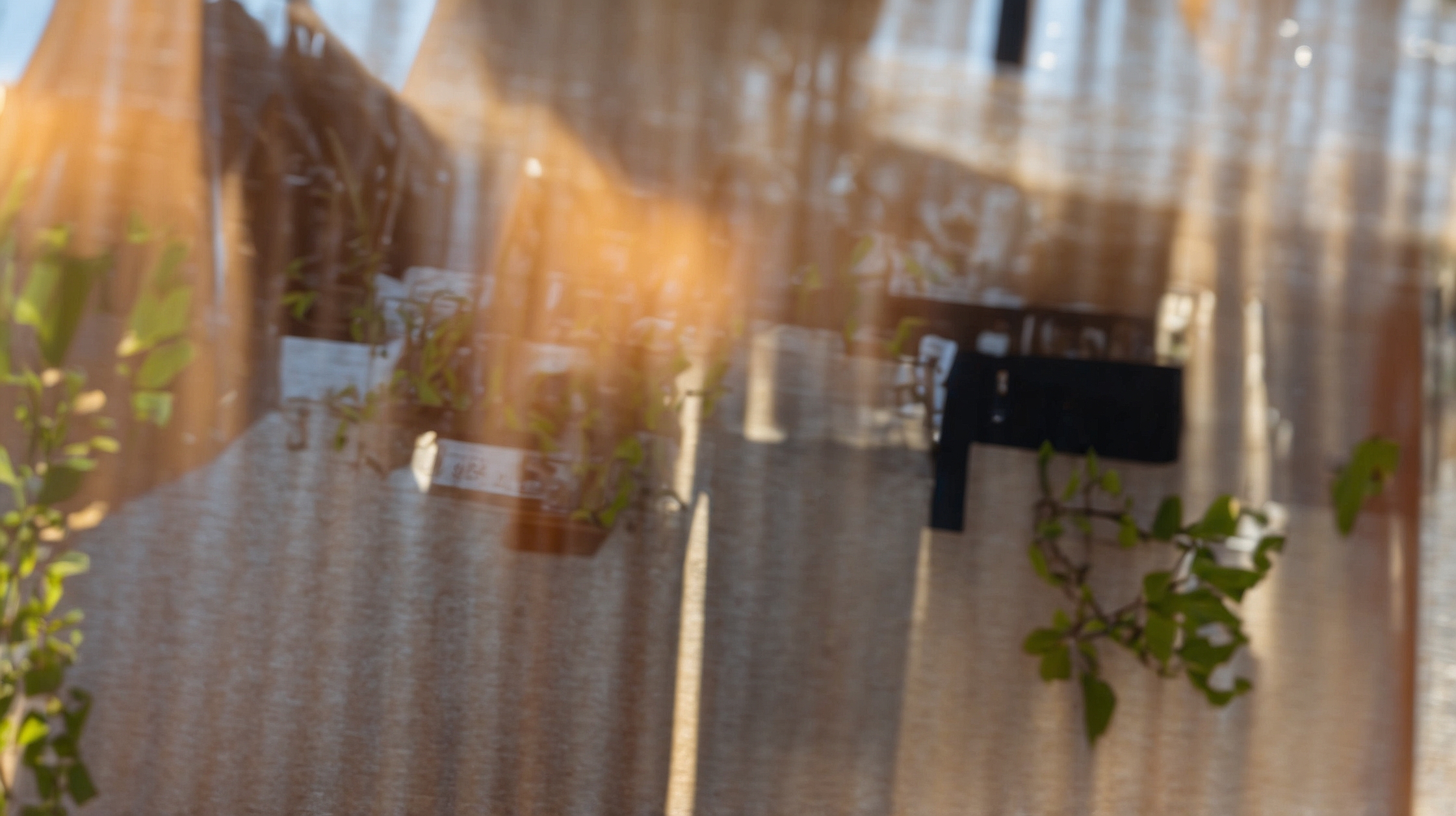 CBSA Is Hiring Border Services Officers: Here’s How to Apply to the Paid Training Program and Earn a High Salary