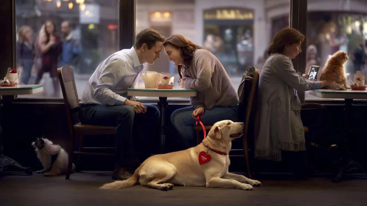 62-of-people-now-use-this-hidden-valentines-day-fi