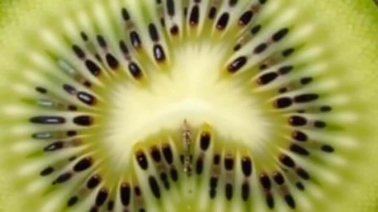 psychology-reveals-what-your-favorite-color-has-be