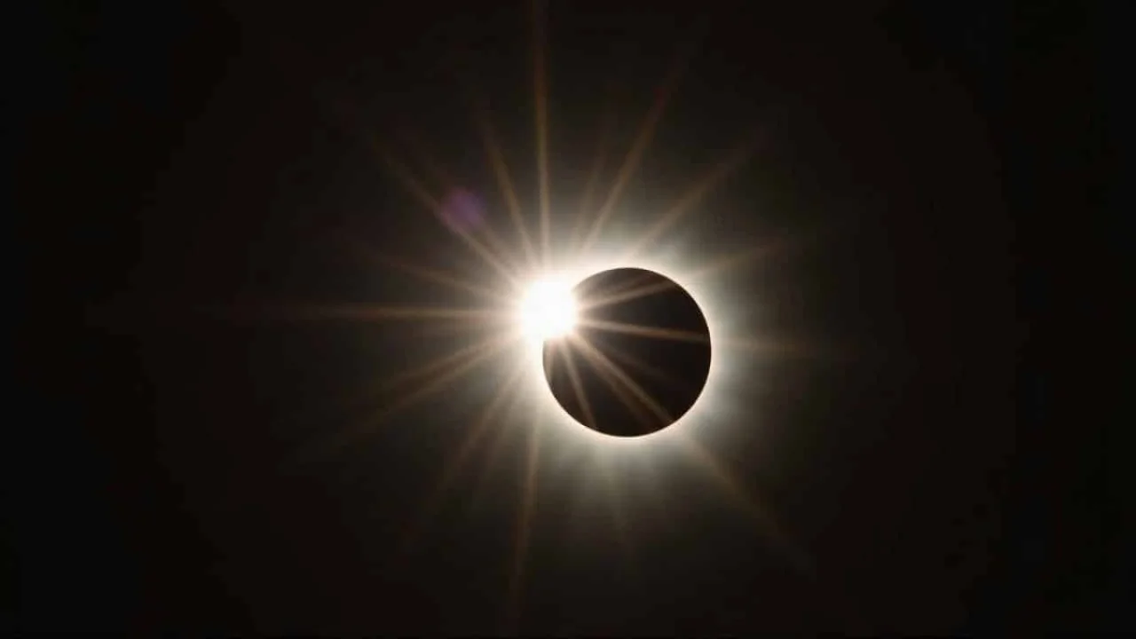 retiree-lends-land-to-beekeeper-for-free-gets-hit