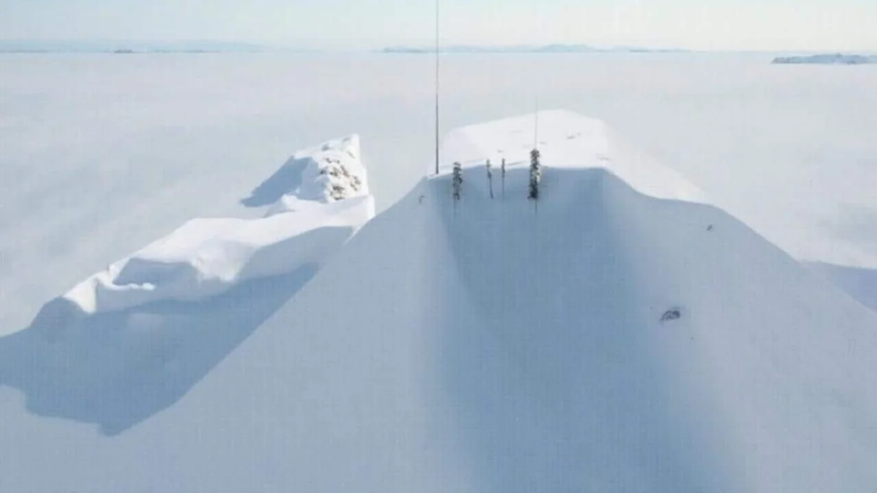 scientists-quietly-calling-each-other-at-night-abo