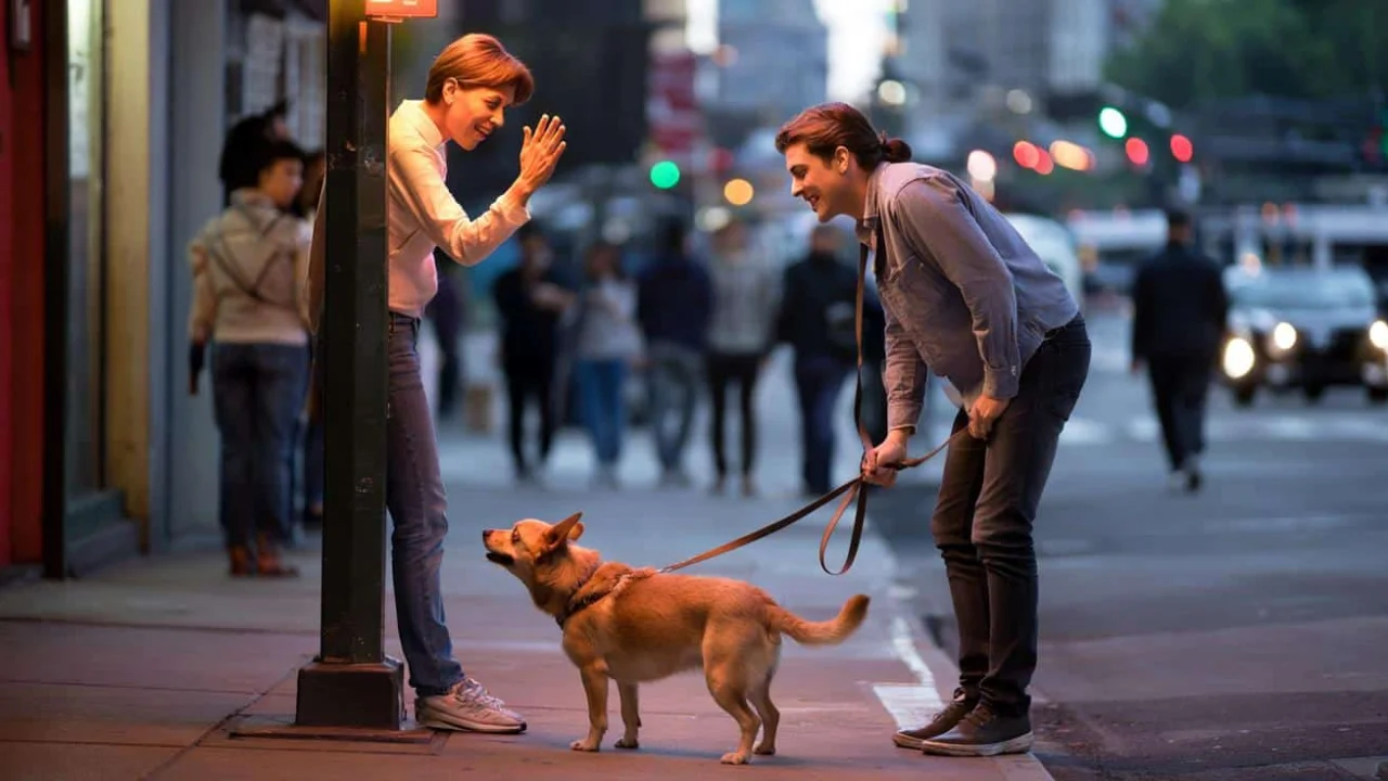 waving-at-dogs-reveals-hidden-personality-traits-p